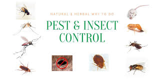 Outdoor Insect/Pest Control
