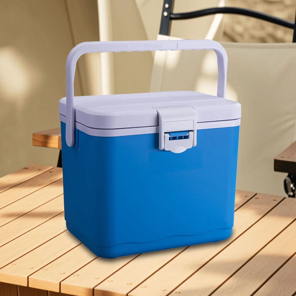4.5L Insulated Portable Cooler with Handle Mini Freezer Fridge Heat Preservation Barbecue Insulation Box for Beach Picnic