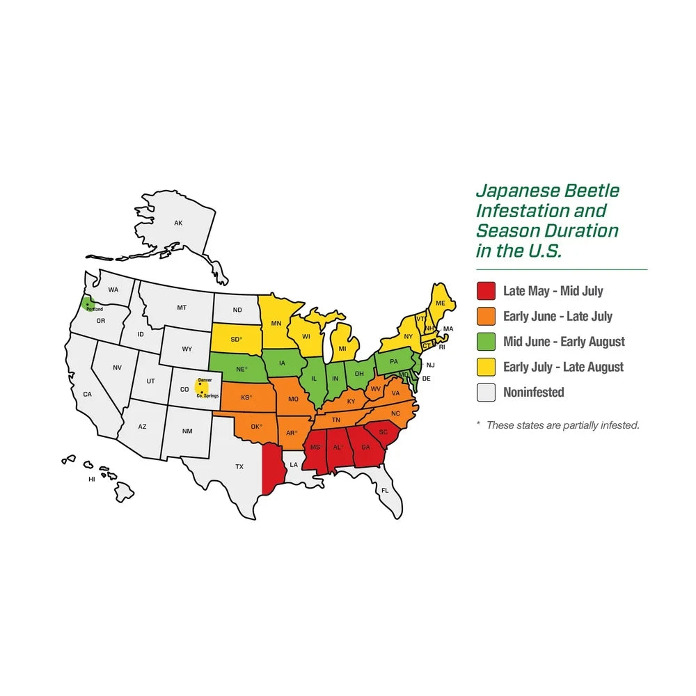 Outdoor Hanging Beetle Trap Japanese and Oriental Beetles Pest Control Natural Attractant Reusable Garden Protection Easy Lock