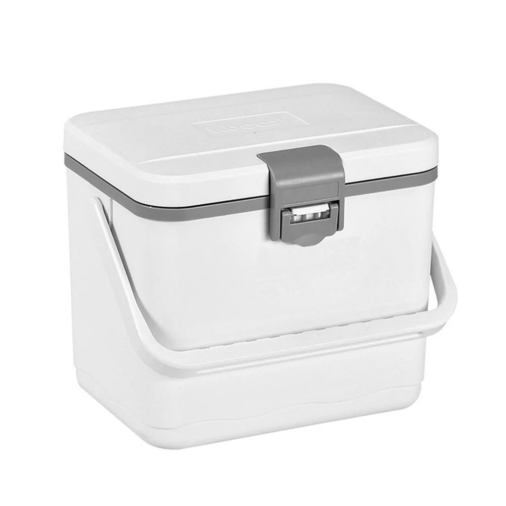 4.5L Insulated Portable Cooler with Handle Mini Freezer Fridge Heat Preservation Barbecue Insulation Box for Beach Picnic