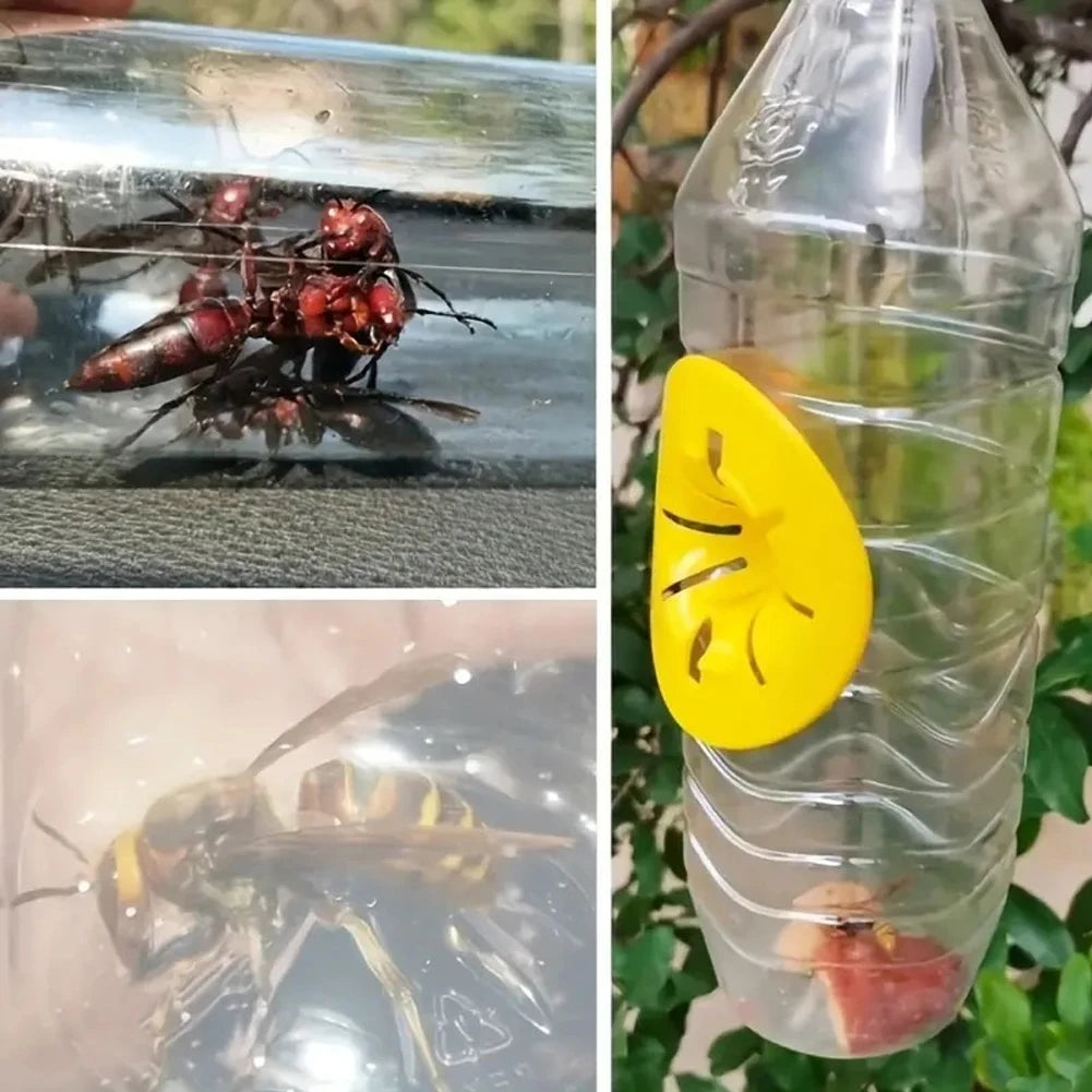 5Pcs Wasp Trap Catcher Reusable Flying Insects Funnel Trap Flower Shape Portable Wasp Catcher Garden Pest Control Tool